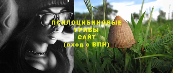 прущий лед Арсеньев